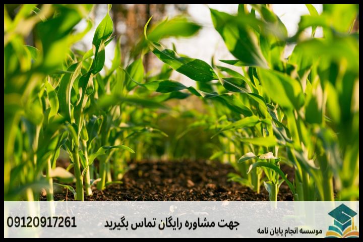انجام پایان نامه ارشد رشته ترویج کشاورزی پایدار ومنابع طبیعی + تضمینی — تصویر 1