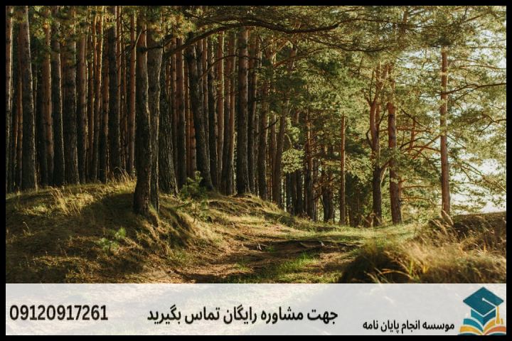 انجام پایان نامه ارشد رشته علوم زیستی جنگل + تضمینی — تصویر 1