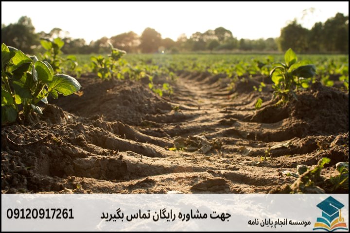 گرایش‌ها و حوزه‌های اصلی پژوهش در مدیریت منابع خاک