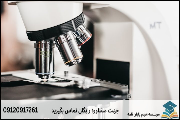 چرا نگارش پایان‌نامه بیولوژی و آناتومی چوب پیچیدگی‌های خاصی دارد؟