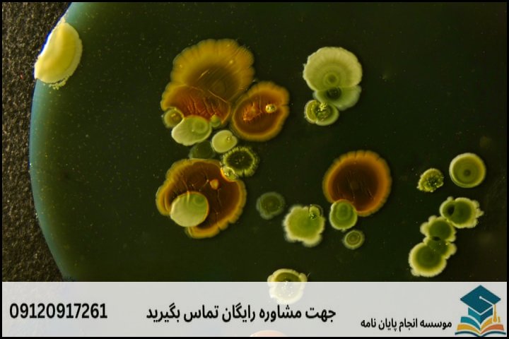 مقایسه روشهای تشخیص فنوتیپی و ژنوتیپی در تحقیق