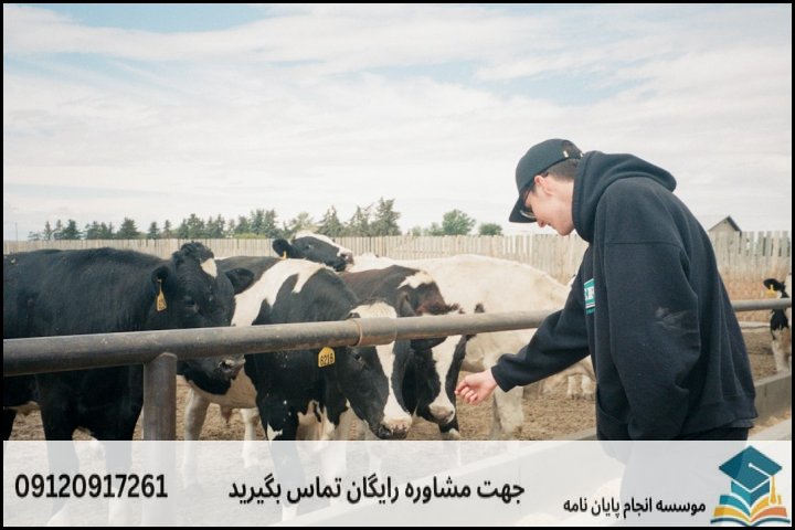 اصول انتخاب موضوع کاربردی و عملیاتی