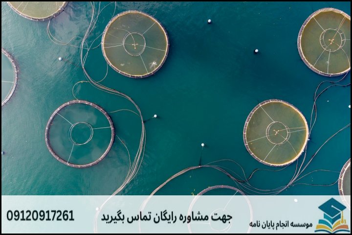انجام پایان نامه ارشد رشته علوم و مهندسی شیلات + تضمینی