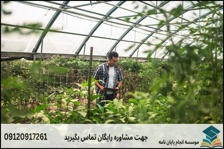 مراحل ۵‌گانه انجام پایان نامه مهندسی باغبانی