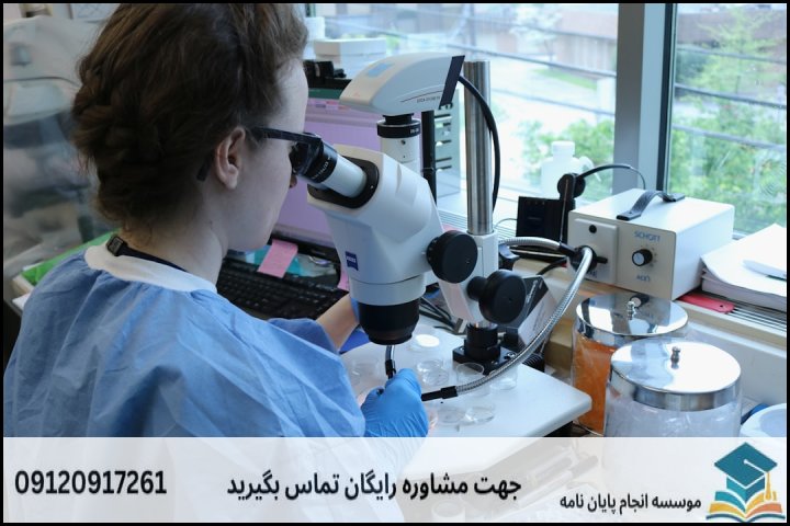 جدول مقایسه‌ای: رویکرد میکروسکوپی در برابر رویکرد فرایندی و صنعتی