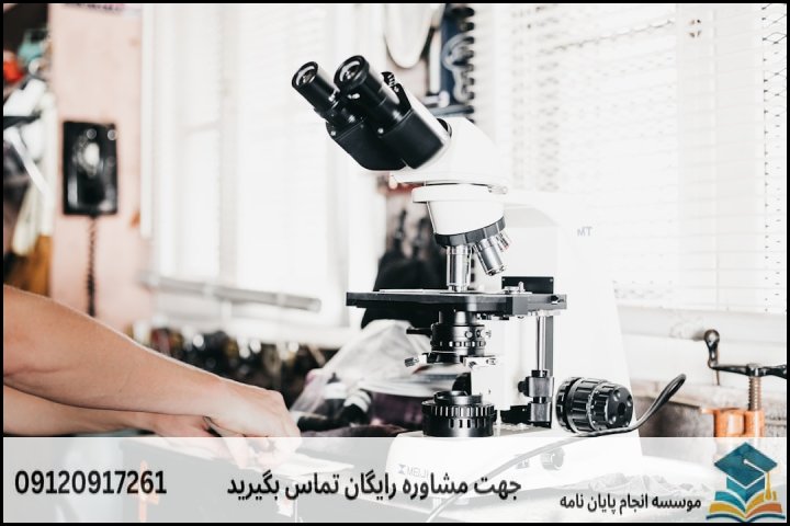 نقشه راه ۶ مرحله‌ای برای موفقیت در پایان‌نامه حشره‌شناسی