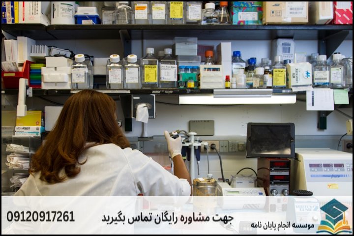 فهرست مطالب