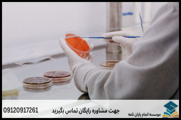 هزینه و قیمت انجام پایان نامه علوم تغذیه + مشاوره، نگارش و اصلاح [ارشد و دکتری] — تصویر 1