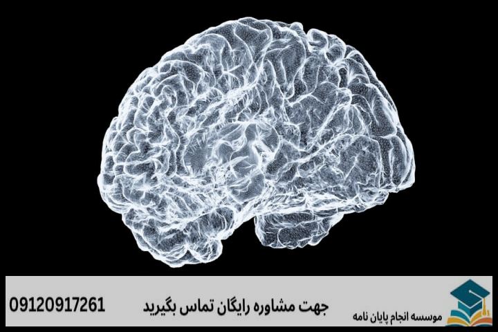 انجام پایان نامه ارشد رشته زبان شناسی شناختی + تضمینی — تصویر 3